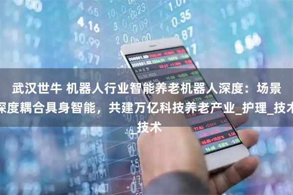 武汉世牛 机器人行业智能养老机器人深度：场景深度耦合具身智能，共建万亿科技养老产业_护理_技术