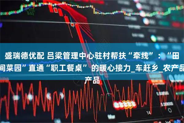 盛瑞德优配 吕梁管理中心驻村帮扶“牵线” :“田间菜园”直通“职工餐桌” 的暖心接力_车赶乡_农产品