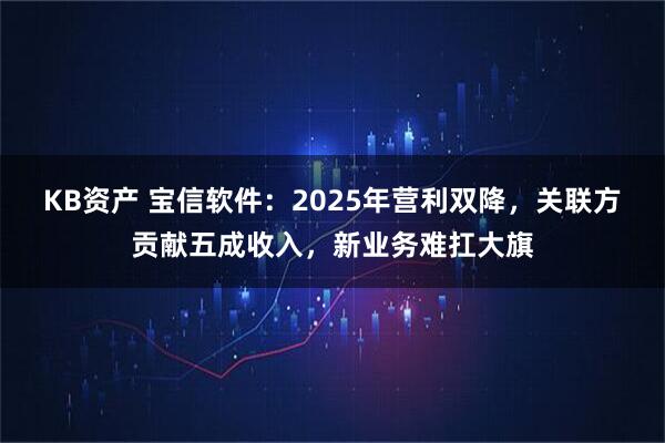 KB资产 宝信软件：2025年营利双降，关联方贡献五成收入，新业务难扛大旗