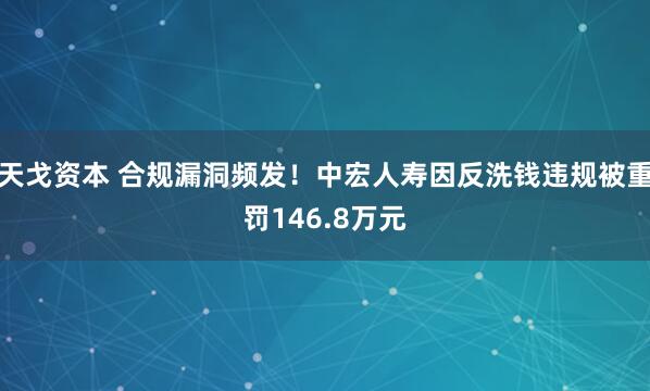 天戈资本 合规漏洞频发!中宏人寿因反洗钱违规被重罚146.8万元