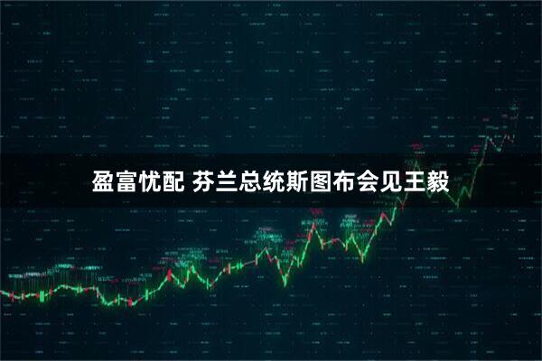 盈富忧配 芬兰总统斯图布会见王毅